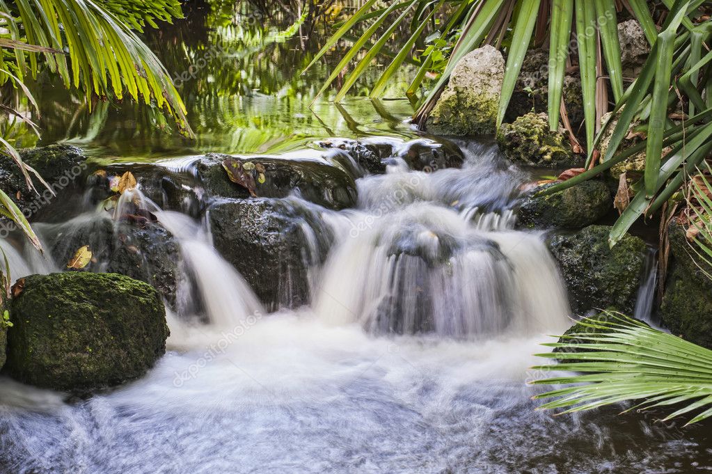 depositphotos_11968596-stock-photo-waterfall-in-tropical-stream.jpg