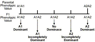 2-fig7a.gif