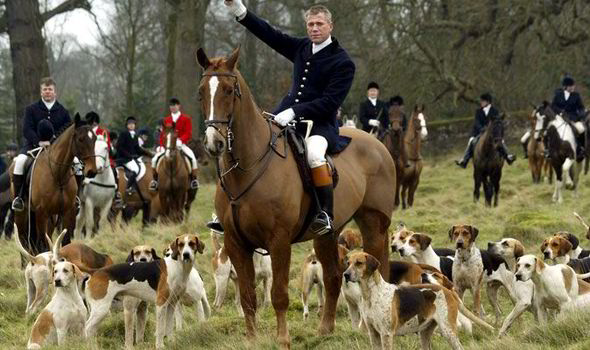 Fox-hunting-with-dogs-416337.jpg