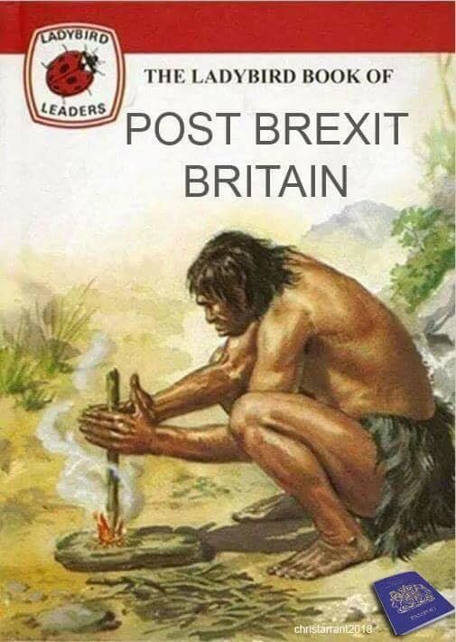 ladybird-book-of-post-brexit-britain.jpg