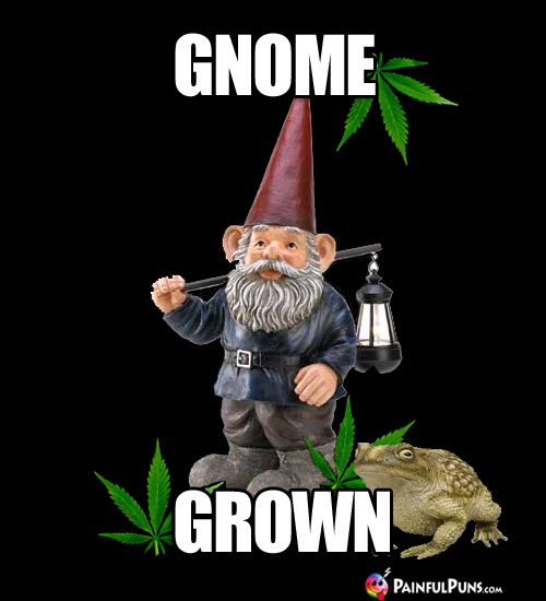 gnomeGrownX2PP.jpg