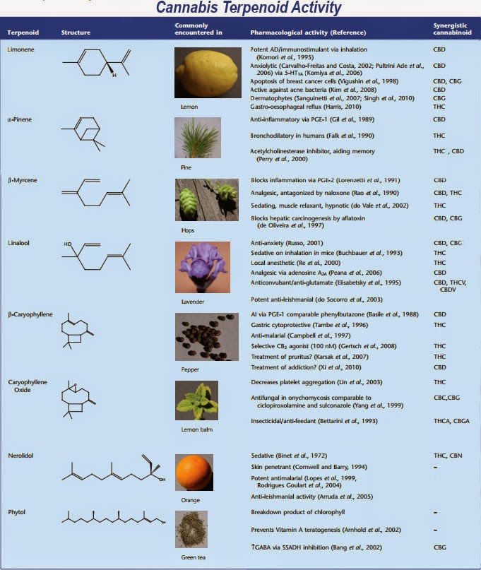 Terpenes.jpg