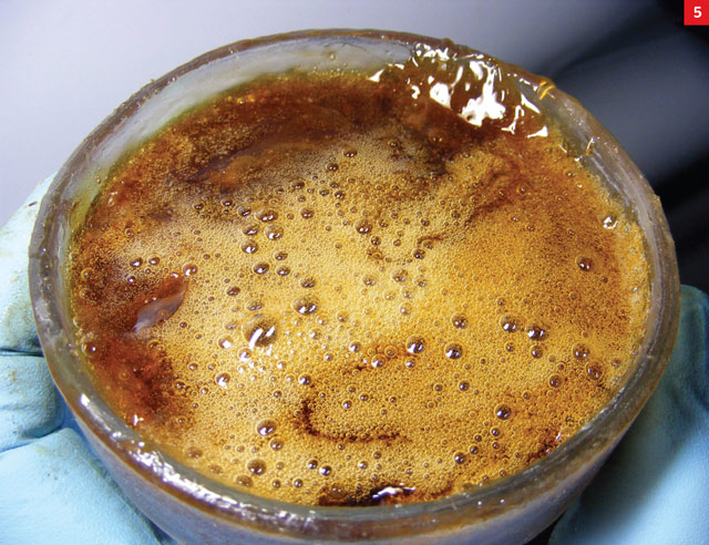 071013concentrates_16.jpg