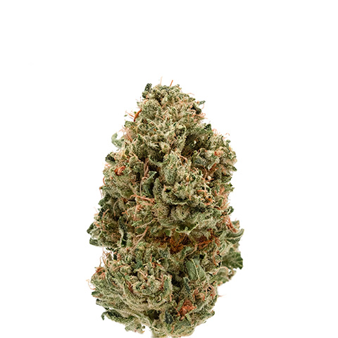 weed-seeds.com
