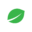 weed-seeds.com