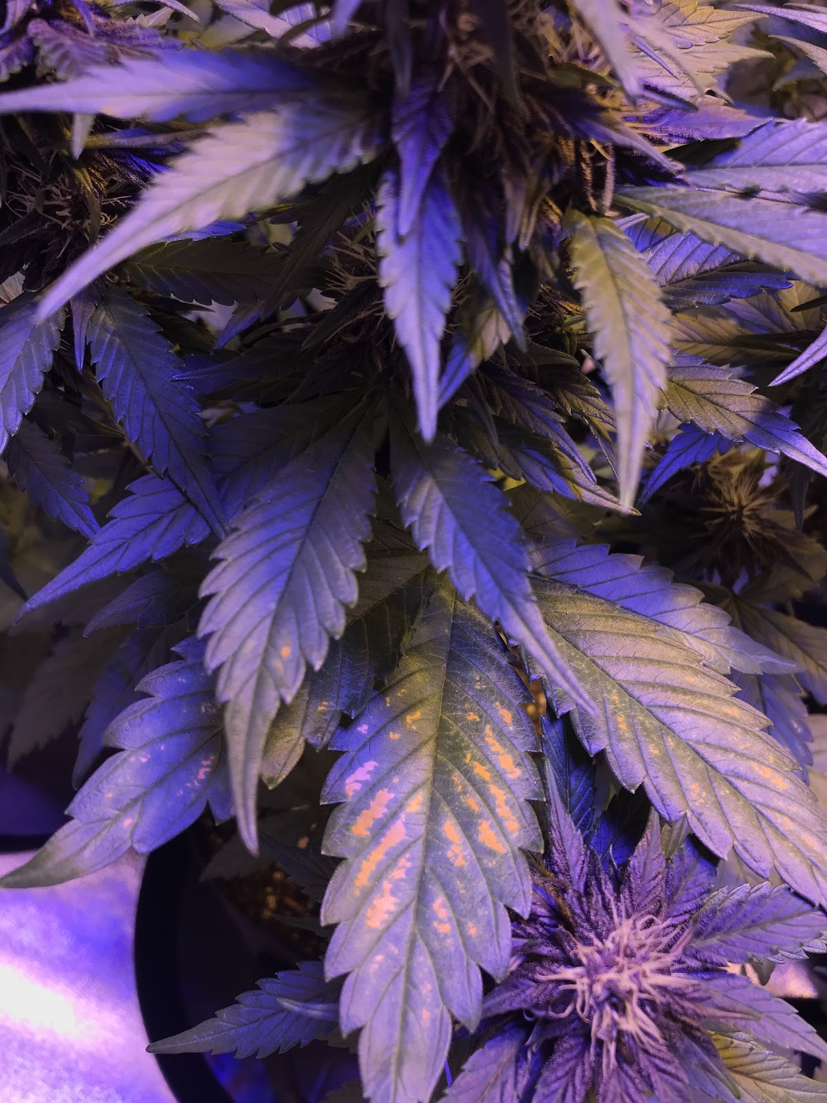 qvYy7Et_ZFC1hqWakvZXr-ID462HCyTUBnSzCxXRO3RaTHlG7Hbcu3wIJYjwj8OXKhEgvgsKXEXl77BOwt0CNVFOwHX1Cqo40HmQpUd_2RAtjWph6tk7NS425WJzEDgW1h42VOrM