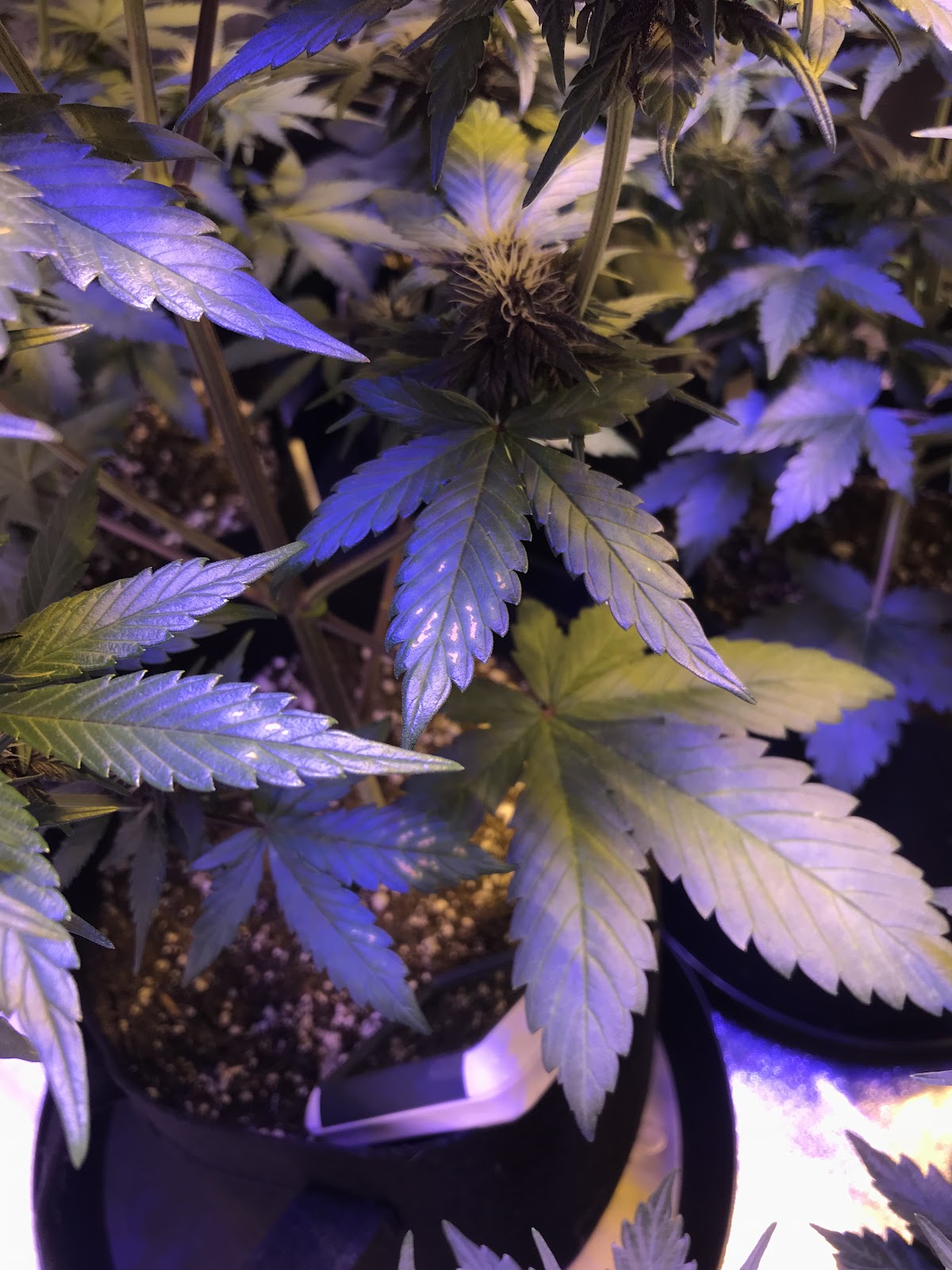 oAqUL5HqOkmBtnMu6ffh8pzdxST60TfFOMbsXNG7Hqd12o6MLxWMIxvoxiYvHMDEVkt1czm2rgxc6au441RZfsqx2i3uQnYpUQ9x6DuTSZoIMh0yIwU0zjsSRsMk036COM4DUTCu