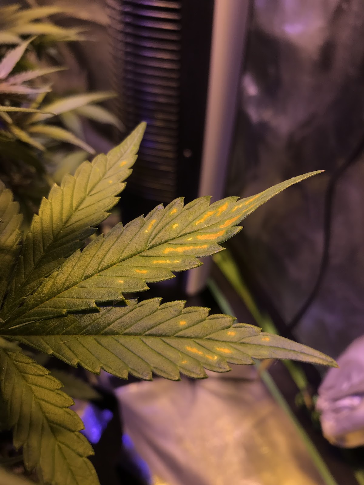 PjG5vBHr3L-2-JSZ-1588o4kaJ5nAcqcefhQ3i-qXmIDu9dQHhp-Bj35vrkTunarmg9JPonuEYWJrdePJiMA24Hz-5wCtCrzBK285bBuRb3cpv9KJr793xqjylc2bob1g9WlOkdf