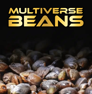 multiversebeans.com