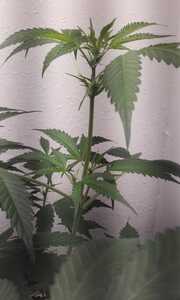 20220714 133934 20220714 133934