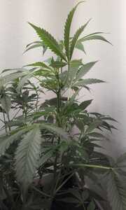 20220714 133855 20220714 133855