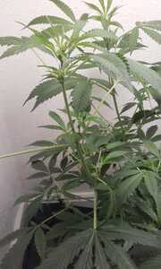 20220714 133920 20220714 133920