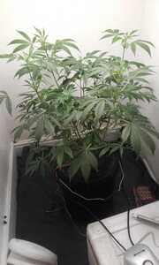 20220714 133841 20220714 133841