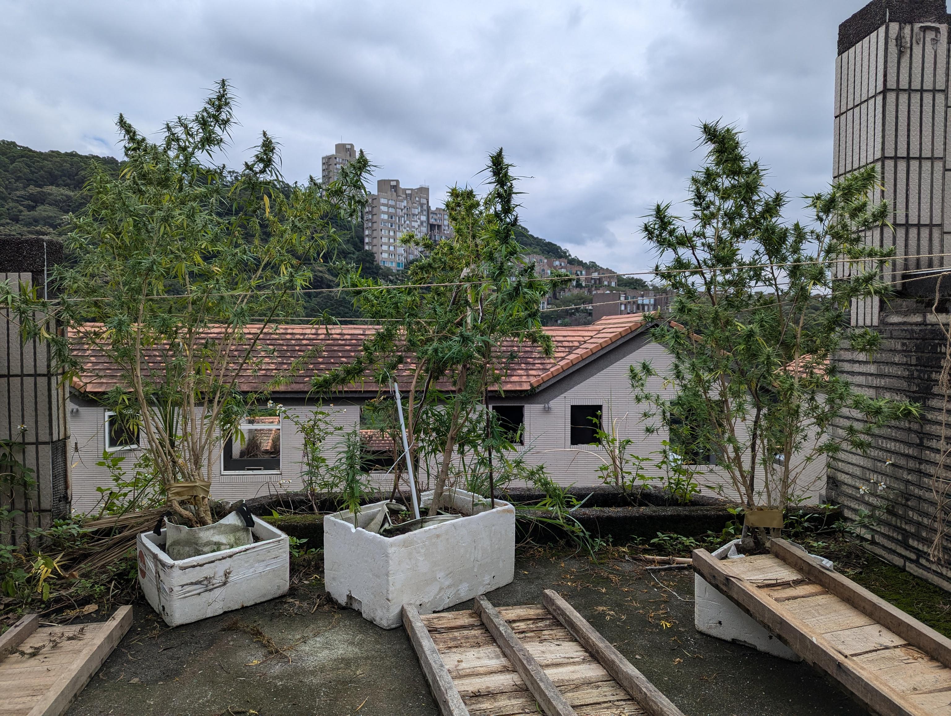 PXL_20241010_052211685.jpg PXL_20241010_052211685.jpg