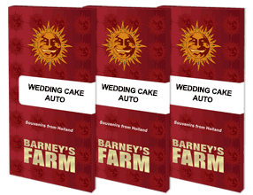 wedding-cake-auto_packet_1_seed.png